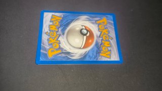 Carta Pokémon Riolu Básico