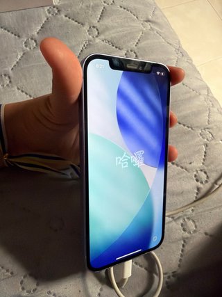 iPhone 12 Viola