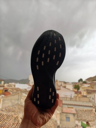 Adidas Adizero Evo SL Negro/Verde