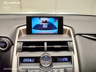 Lexus NX300H BUSINESS 2017 REF 8859