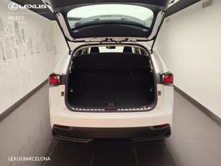 Lexus NX300H BUSINESS 2017 REF 8859