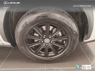 Lexus NX300H BUSINESS 2017 REF 8859
