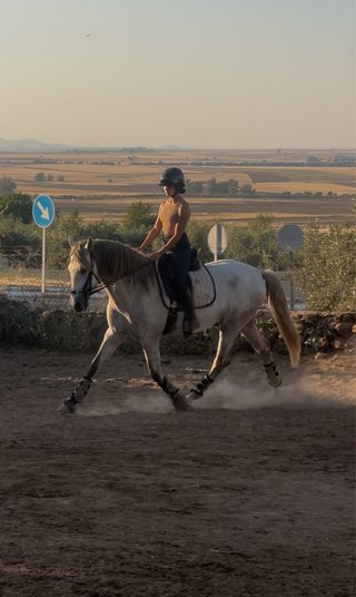 Vara de Triana