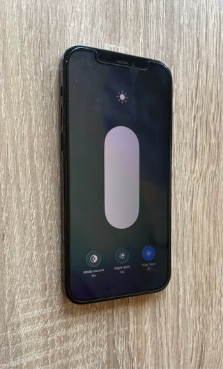 iPhone 12 Pro 100%