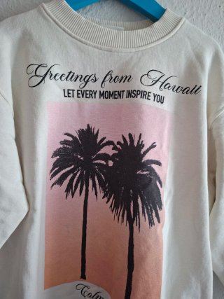 Lote 3 sudaderas y 1 jersey Zara/Mayoral 6 años