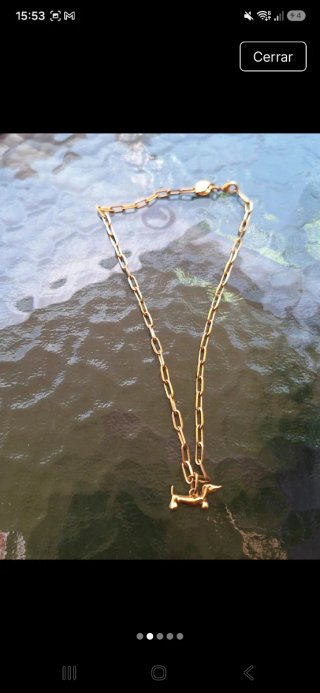 Collar dorado con perro salchicha negro