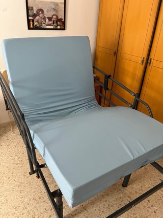 Cama articulada con barandillas