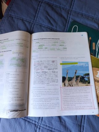 Libro Lengua y Literatura 1º ESO ANAYA