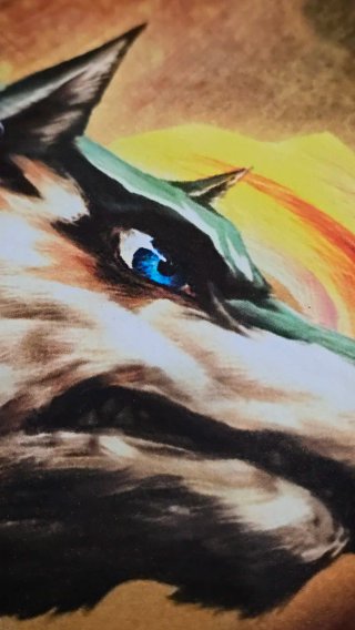 Poster PVC 100x70cm Zelda Twilight Princess