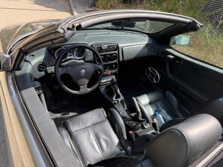 Alfa Romeo Spider  v6 Busso