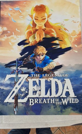 Poster PVC 70x50cm Zelda Breath of the Wild