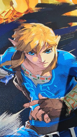 Poster PVC 70x50cm Zelda Breath of the Wild