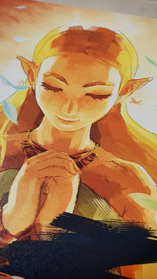 Poster PVC 70x50cm Zelda Breath of the Wild