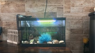 Acuario 75/80L Negro y Azul