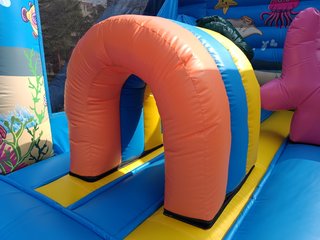 Castillo Hinchable Ocean Park 5.5x5x4m tr46