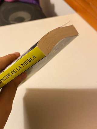 El príncipe de la niebla
