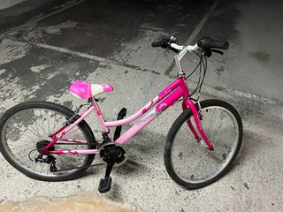 Bicicleta Rueda 24 Rosa