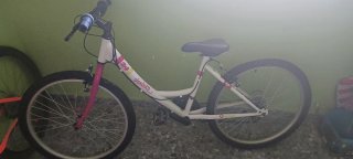Bicicleta Niña Denbike 24