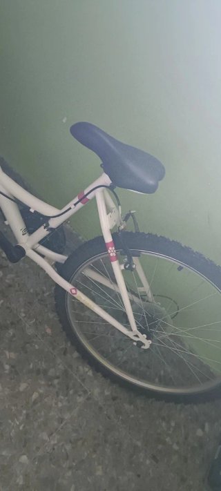 Bicicleta Niña Denbike 24
