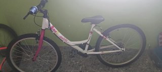 Bicicleta Niña Denbike 24