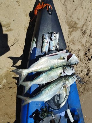 2 Kayak de pesca con pedales y otro remo