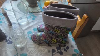 Botas Ladeheid Mujer Multicolor