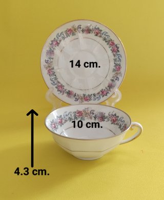Taza y platillo Limoges Porcelain
