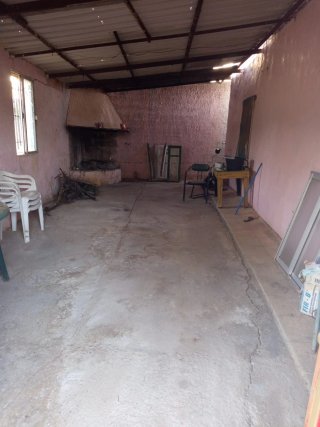 Finca con olivos