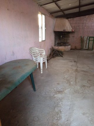 Finca con olivos