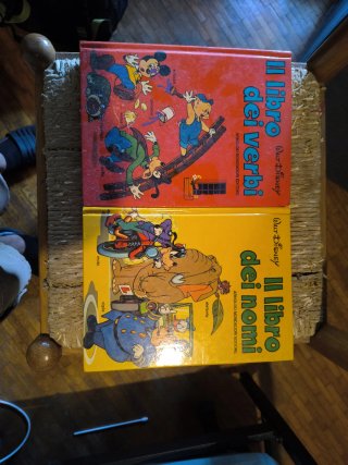 Il libro dei verbi & il libro dei nonni DISNEY