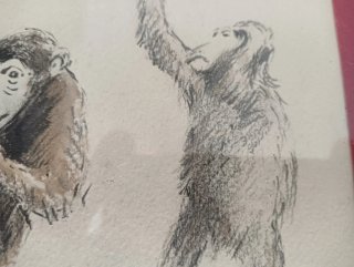 Dibujo Opisso a plumilla dibujo de simiosmonos