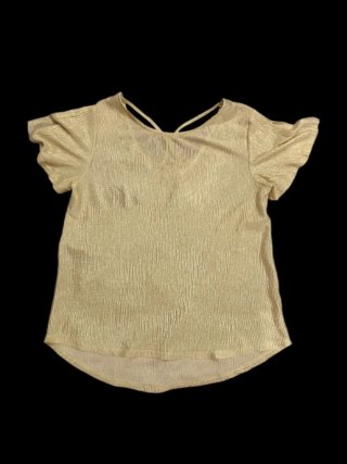 Blusa plateada
