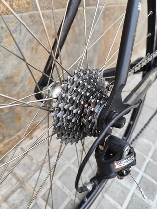 Wilier Triestina Competition Talla S (1,65-1,75m)