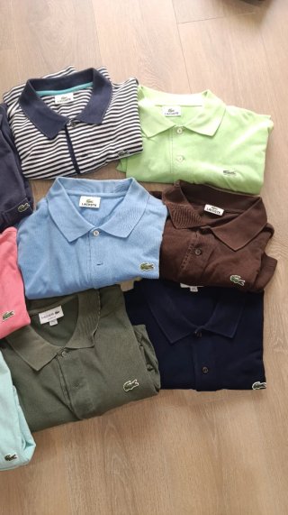 Lote 12 polos Lacoste
