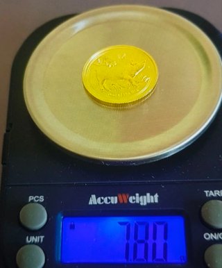 Lote de 10 Monedas de Oro Año del Cerdo 2019 1/4