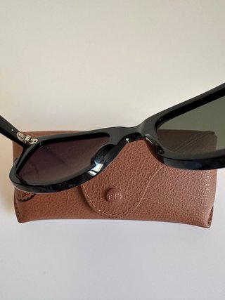 Gafas de sol Ray-Ban Wayfarer Negras