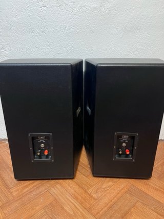 2 Altavoces BCT EV01 Profesionales