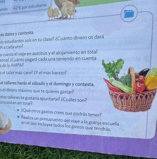 Libros matemáticas 4° primaria