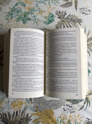 Harry Potter 6 y el misterio del príncipe