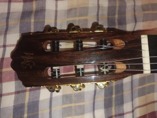 Guitarra de  palo santo amplificada