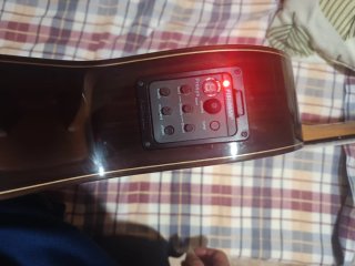Guitarra de  palo santo amplificada