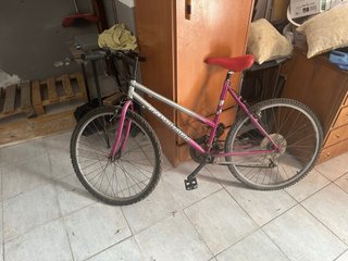 Bicicleta Montaña morada y plata