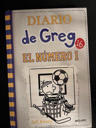 Gran lote de libros