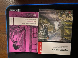 Gran lote de libros