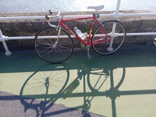 Bicicleta Orbea Roja