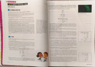 Lingua Galega e Literatura 4 ESO, Secundaria, Fanf