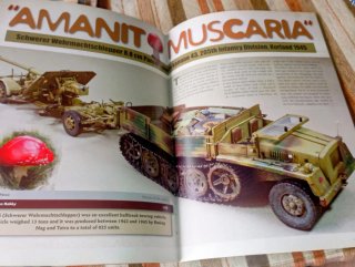 Rivista Panzer Aces N42 - inglese