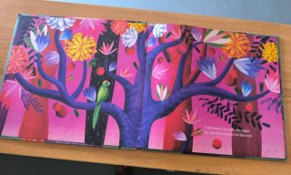 Libro kiwi un paxaro mais ben raro