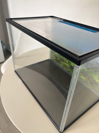 Acuario pecera 20L plástico