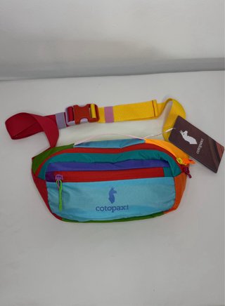 Cotopaxi Del Día Hip Pack 3L Multicolor
